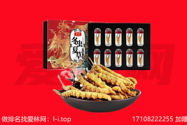 保定回收虫草.jpg